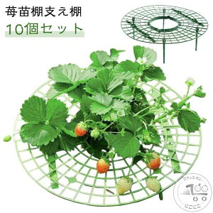 設置簡単 栽培棚 苺苗棚支え棚 家庭菜園 いちご栽培 いちごプランター イチゴサポート 【10個セット】イチゴ棚 イチゴ栽培ラック 園芸ラック 園芸支柱 【10個セット】イチゴ棚 ガーデニング
