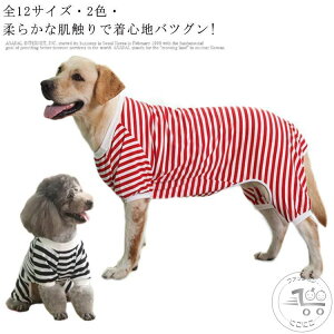 ybg ̕ ybgEGA  ybgpi ybg ^ S12TCYE!  ё΍   ^ hbOEFA ^ ^Ngbv Wp[ g[i[ AE^[ hbO X