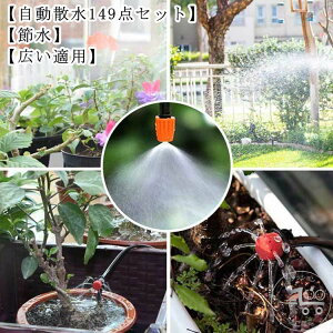 U A琬  Up  A VXe hbvVXe Uz[X UZbg  mYXv[ ~͗p 30M  ~Xg K[f