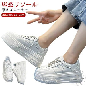 C Xj[J[ ꂢ  gAbv  V[Y אg Xj[J[ ₷ y Cq[Xj[J[ _bhXj[J[ ؍  EH[LO ʊw C  _CGb