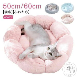 Q ybgxbh pxbh Q I[V[Y xbh ~ NbV ^ Ԍ^ ybgnEX 50cm ʔN 60cm nEX lRxbh 􂦂 Lpxbh  LnEX \t@