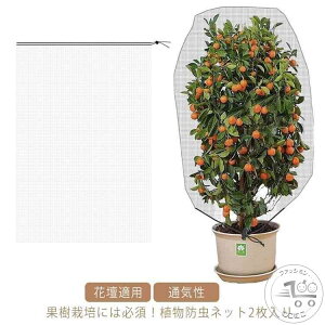 虫ネット 防虫網 2個セット 虫鳥除け網 防虫ネット 花壇適用 虫よけネット 通気性 農業用 苗 園芸用 防鳥ネット 園芸 菜園 野菜 虫よけネット 畑 ハウス 防虫シート 野菜栽培 野菜作り 園芸用