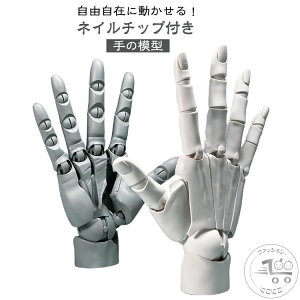 L nhf ȂX^ht E  R lC`bvt 1/1  O[ ȂX^ht fbTpf̔p tBMA Aj zCg XLJ[ f n