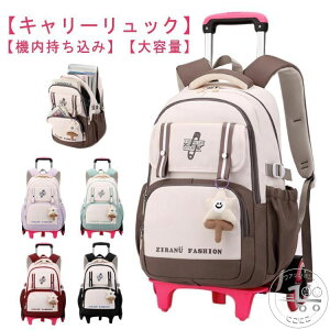 L[bN bNTbN L[obO bNL[ qp bN obNpbN X[cP[X 2WAY ԕt 2/6 s o w w Z s K @