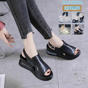 T_  xg  ₷ EGbW\[ 傫TCY ɂ ubN zCg y \[ \[ XgbvT_ dT_AItBXT_AT_