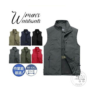 StxXg StEGA xXg Y bV ނxXg t jp ƒ _ d ʋ oR J} Lv ~^[ Bep