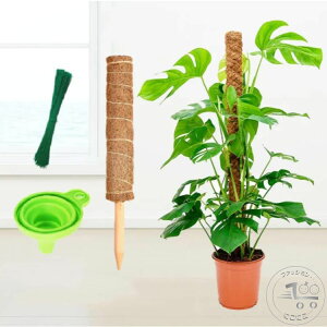 V RRXeBbN Xex ϗtA x |x A K[fjOp Ԃ RRibcx AT|[g 鐫A g}g |gX _Ɨp |p |xp[c 