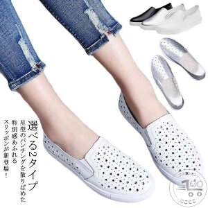 Xb| Xj[J[ fB[X  p`O p`OXb| RȂ TChSA ₷ JWAV[Y   t Iׂ2^Cv S3F