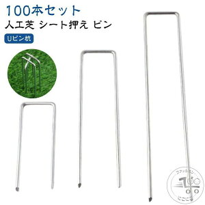 uX[p[SALEzv s Y lŐ Œs UsY s s lHŃs hV[g s V[g V[g y100{ZbgzlH Ő y100{ZbgzlH x_ 