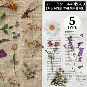 t[NV[ XebJ[ 40Zbg R[W  A 蒠fR Ao L J_[ v[g Mtg g