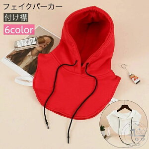 t  t[ht tFCNp[J[ fB[X  t[hR tFCNC[h d˒ JWA Vv  킢