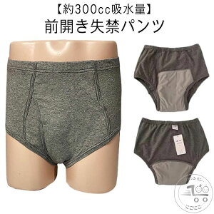 ARpc zpc OJ jp 300cc փpc u[t d AR n 傫TCY  p pc hV̓ @p  Y am p ̓ 쉺