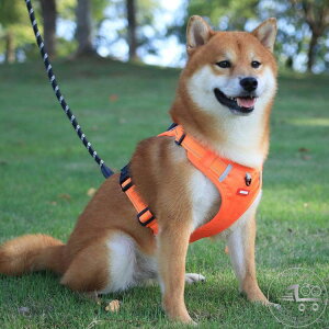 V ߉\ p Ȃ [h ybgpi n[lXxg ybgn[lX lC hՌ nht Ԕ  ̃[h ȒPE ^ ^ ^ U o P 