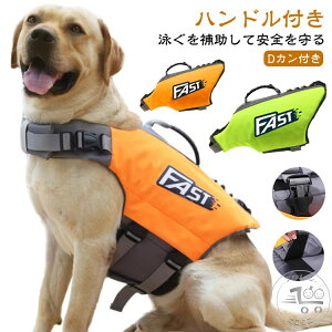 p CtWPbg  ~ ^ ^ t[eBOxXg CtWPbg   dJt nht C  V v[ V C SUP Tbv  jP