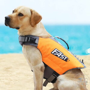 V p CtWPbg  ~ ^ ^ t[eBOxXg CtWPbg   dJt nht C  V v[ V C SUP Tbv  