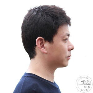 V EBbO YEBbO Y N jp R  EBbO V[g ϐg ʋCQ