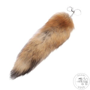 V K L[z_[  L[z_[ @[`[ t@[Xgbv K  t@[`[ ӂӂ tHbNXe[ Lclt@[ e[ tHbNXe[ 30cm t@[X