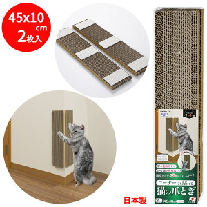 y|Cg10{ ubNtCf[ 11/18`12/01zy{zR[i[ɂ\ ܂Ƃ 2g L ߂Ƃ 45x10cm ݖ15mm i{[^Cv z \Ă͂  ی ǂȂ ܂