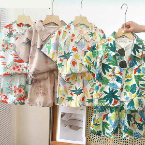 ㉺Zbg Wj ZbgAbv AnVc j̎q 