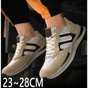 Xj[J[ y ܐی  傫 fB[X ƌC ݔh~  ʋC 23cm-28 Y ɂ y SC