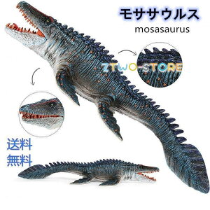 WVbN m  TTEX ߋ  qߋ