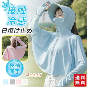 }XN W X|[c ڐG⊴ Xq t[ht w A[Jo[  fB[X ⊴   p[J[