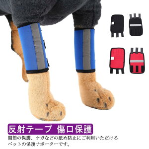 􂢂 p ̕ی   Vp T|[^[ 