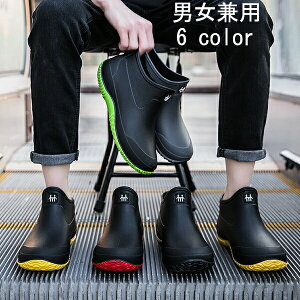 jp Y CV[Y S Cu[c fB[X