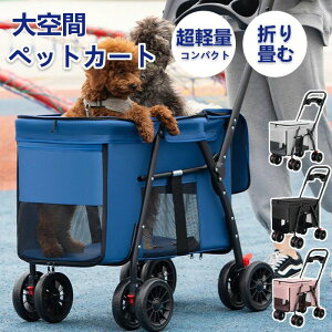 ܂肽 ^  ^ o y ybgJ[g oM[