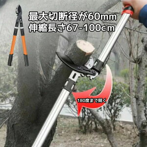 �y�� �͂��� ���� �} �ؒf�a60mm �}�؂΂��� ����o�T�~ ���}�؂�o�T�~ �_�� �n�T�~ �_��� ���| ���� ����΂��� ���� �y�� �}�؂�΂��� ���}���� �p�� ���� ���}�؂�΂��� �� �ƒ�؉� �L