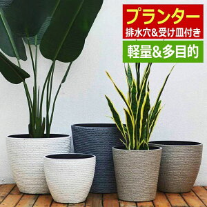 植木鉢 受け皿 大型」の人気商品一覧・価格比較 - 価格.com