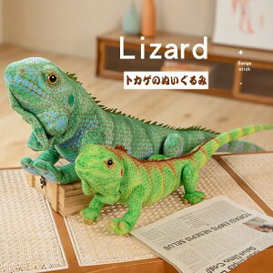 �ʂ������ �������� ���A����lizard �g�J�Q �������� �ւ�