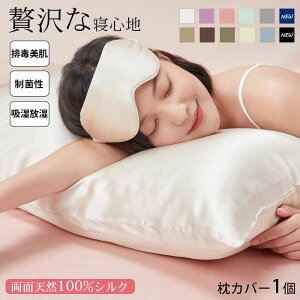 VN VN100 Jo[ t@Xi[ e ێ 19 