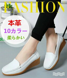 JV Xb| {vfB[XV[Y ؂񂱃V[Y