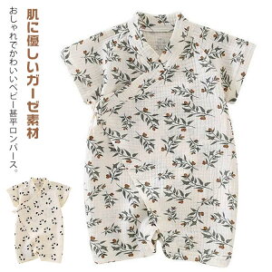 K[[f p_ ̎q xr[rp[X  j̎q