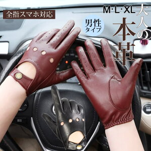  ėp uv  Y Oh~ ] oCN ^] U[O[u t  AJ   v rWlX ttBK[ ̓ Mtg ގ a v[gubN/C