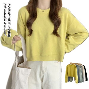  g[i[ XEFbg fB[X V[g vI[o