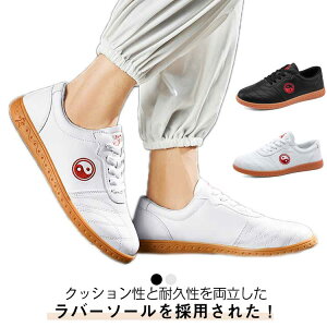  Xj[J[ I[V[Y jp ɌV[Y vC