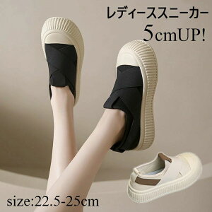 fB[X 5cm Xj[J Xj[J[ C ₷ ʋC