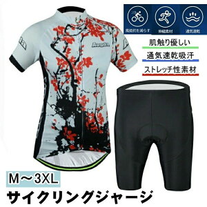  EGA [hoCN ㉺Zbg TCNOp EFA