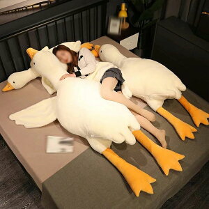 K`E 傫 Ђ  Aq LN^[ ʂ