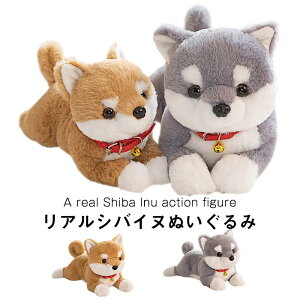 �ʂ������ �� �Č��O�b�Y �Č� ������ �V�o �C�k ���� �V�o�C�k