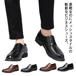  [XAbv tH[} amC Ȃ bV^Cv X[c ʋC c Y ₷ rWlXV[Y