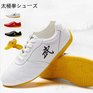 Y  pV[fB[X ɌV[Y Xj[J[