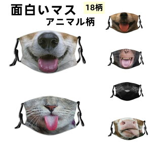 ʔ}XN  nEB Aj}tFCX}XN Aj}