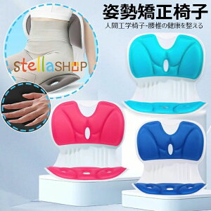 ՃT|[g`FA Lwh ֎q ɉ pT|[g`FA