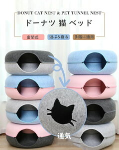 t LbgnEX h[ic B xbgh[ Lpxbh