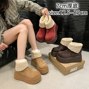 XG[h V[gu[c [gu[c  fB[X 7cm