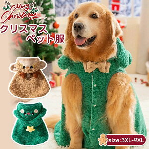 H~ hX  ybg hbOEFA NX}X h 