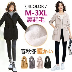 N u] EBhu[J[  fB[X WPbg